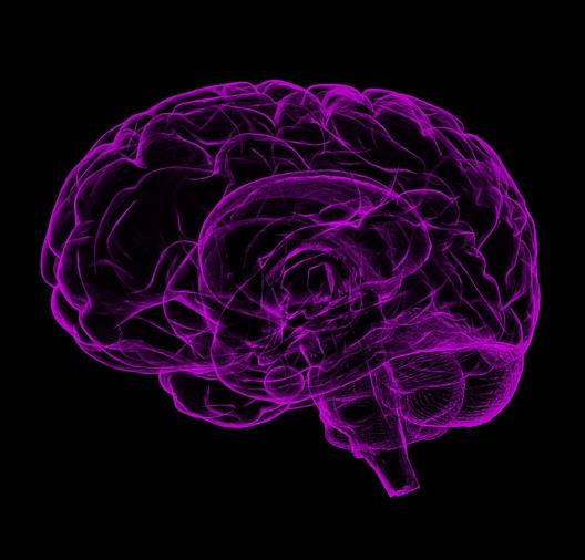 North Light Physiotherapy Neurological Rehabilitation